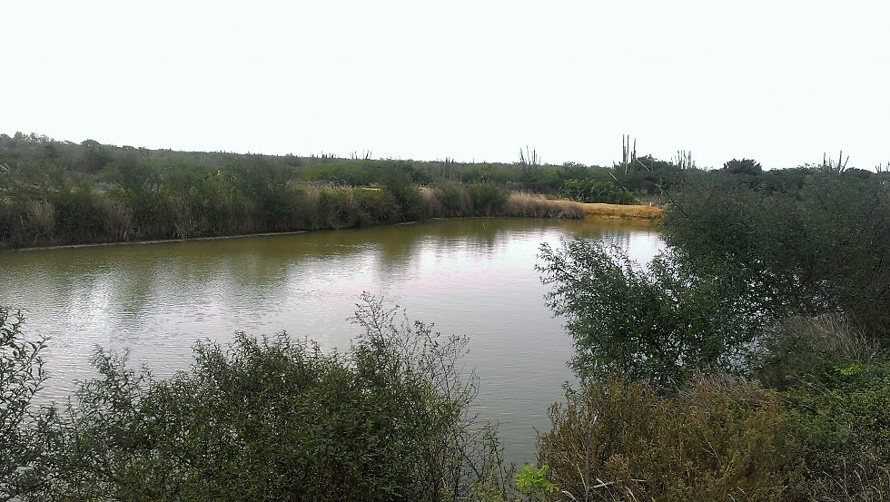 HACIENDA O FINCA EN LOS GOMEZ EN VENTA