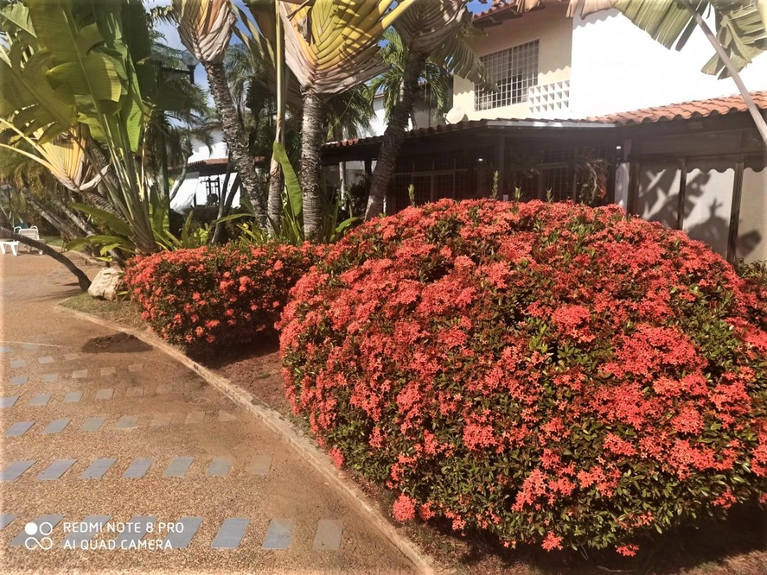 HERMOSO TOWNHOUSE EN URB. MANEIRO, EN VENTA