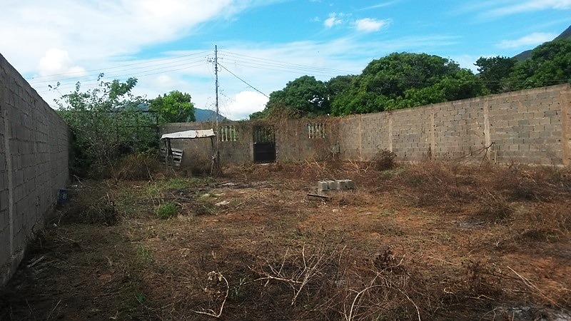 TERRENO EN VENTA, EN CATALAN GUACUCO