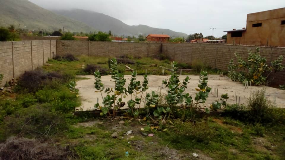 TERRENO EN VENTA EN SECTOR EL HATO