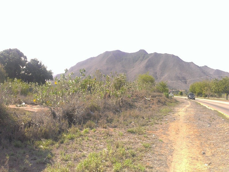 EXCELENTE TERRENO EN VENTA  EN MARGARITA AV. LUISA CACERES DE ARISMENDI