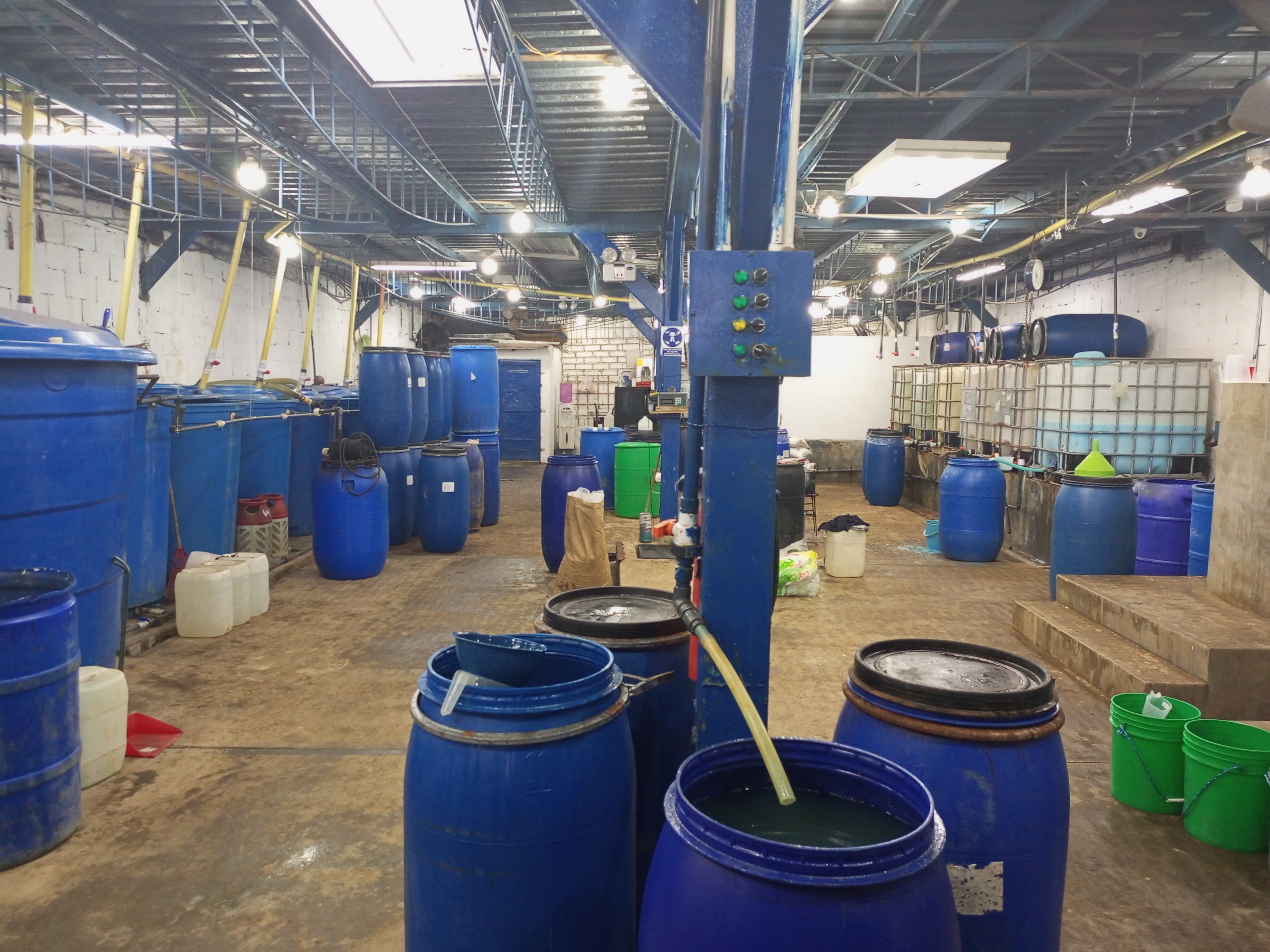 GALPON EN VENTA EN LA AV. 31 DE JULIO