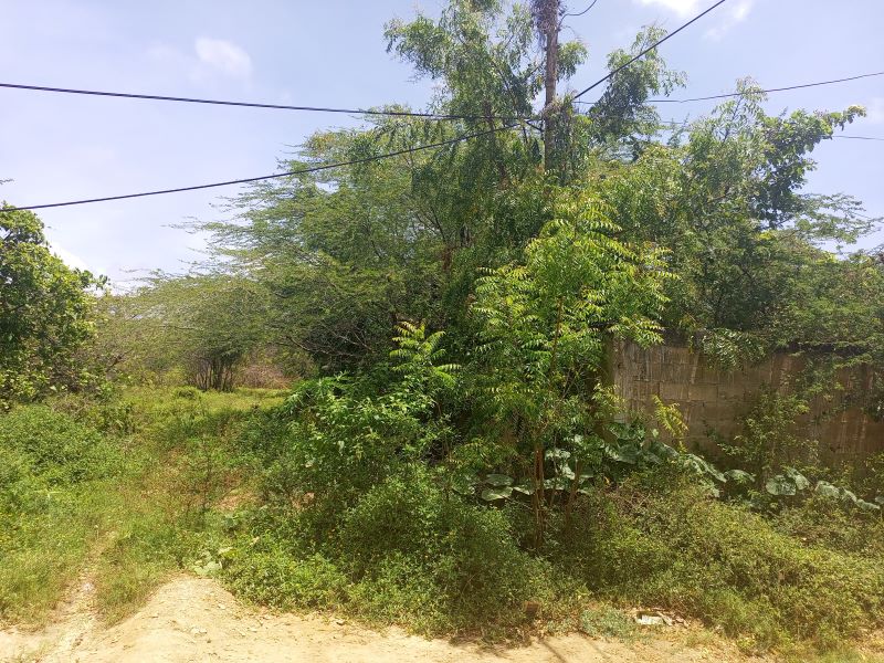 TERRENO EN VENTA EN AV 31 DE JULIO