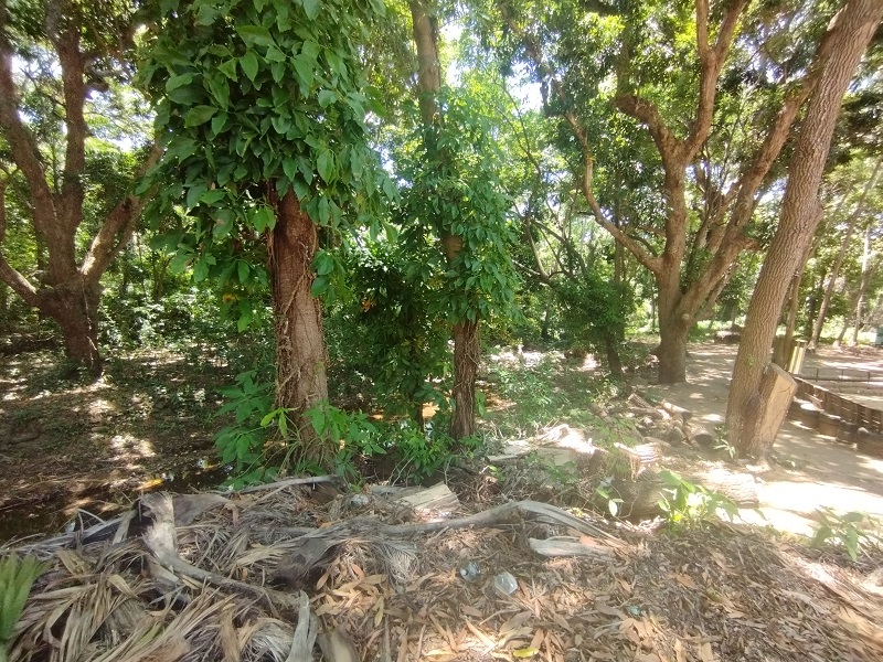 TERRENO EN VENTA EN LA ASUNCIÓN SECTOR EL COPEY