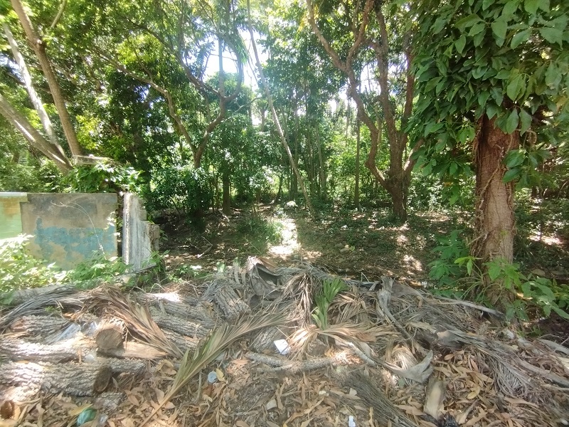 TERRENO EN VENTA EN LA ASUNCIÓN SECTOR EL COPEY