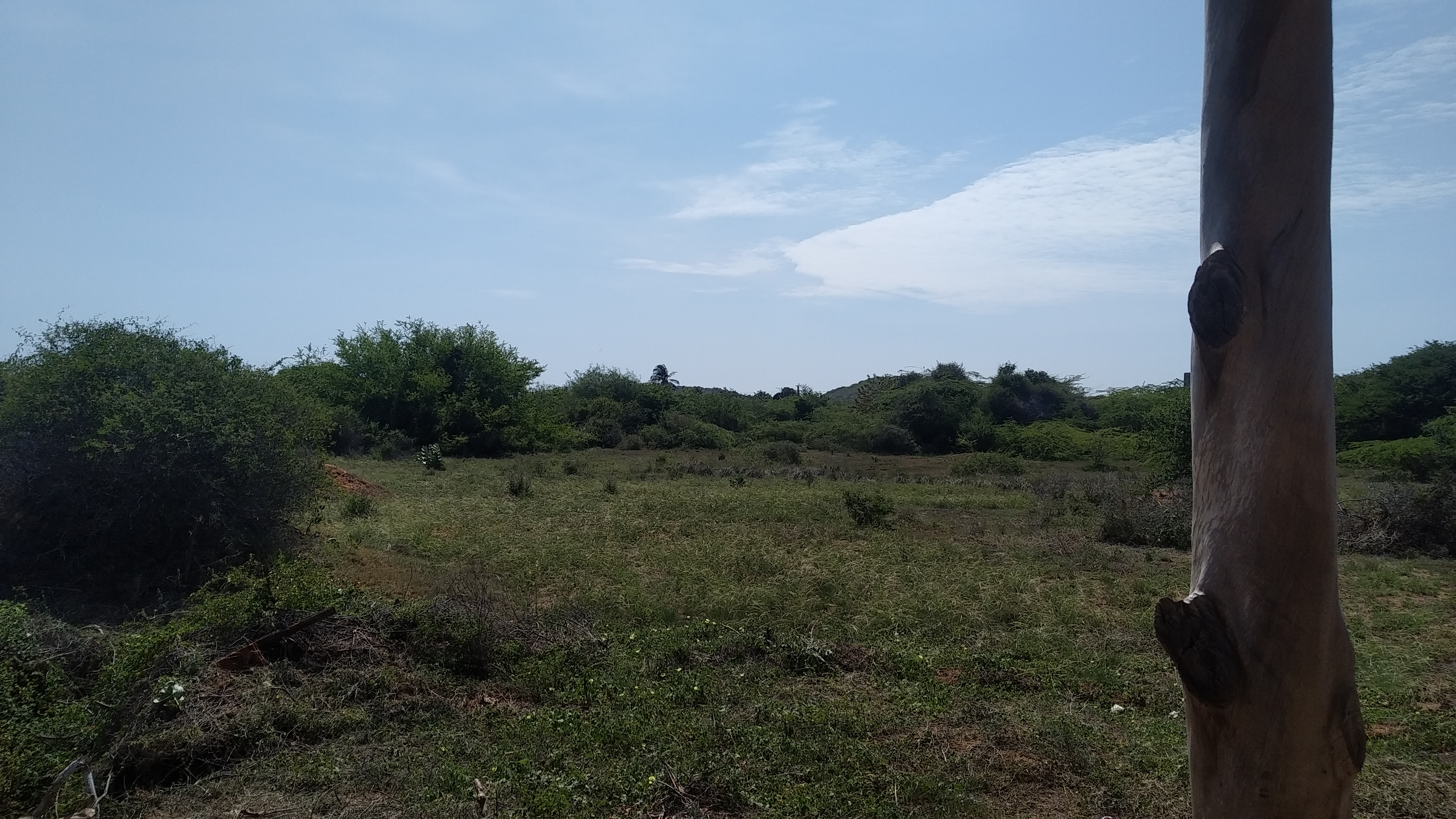 TERRENO CON BIENHECHURIA, EN SECTOR LA MIRA.