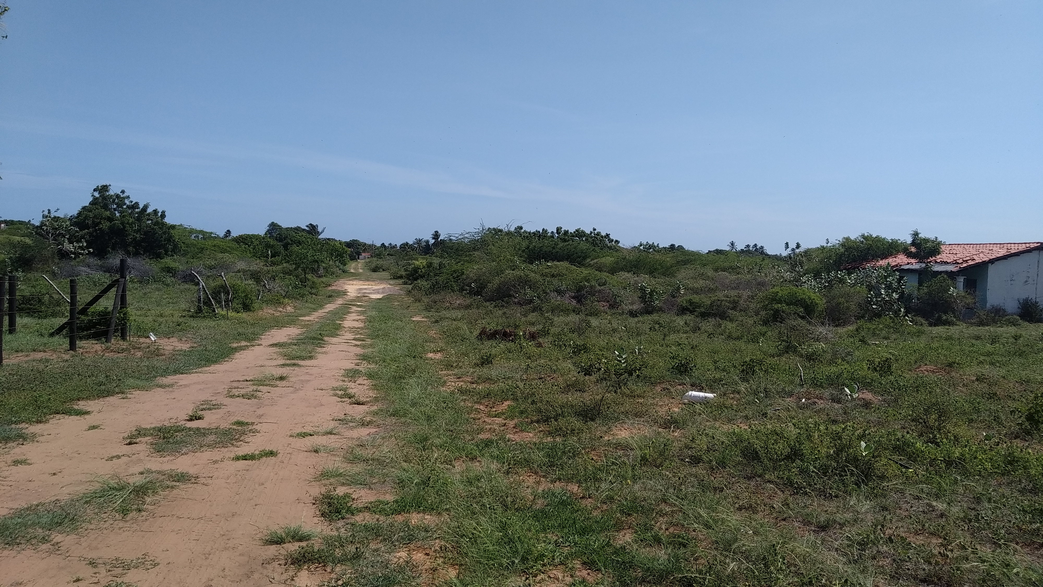 TERRENO CON BIENHECHURIA, EN SECTOR LA MIRA.