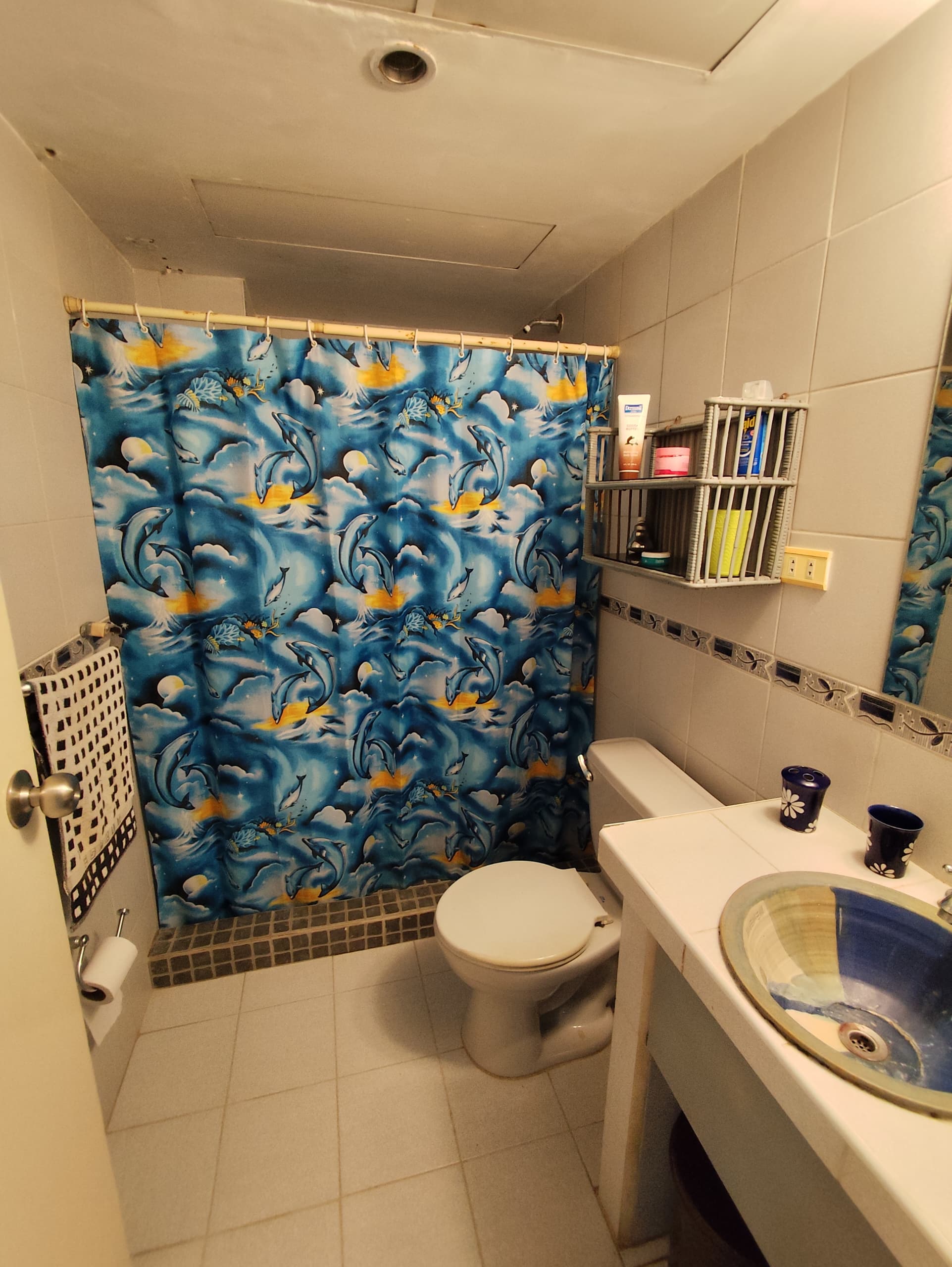 APARTO-QUINTA EN VENTA EN LA ARBOLEDA, PORLAMAR.