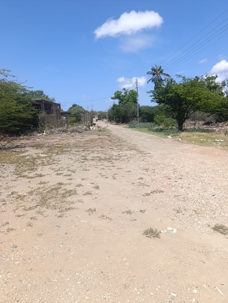 PARCELAS EN VENTA EN SAN ANTONIO