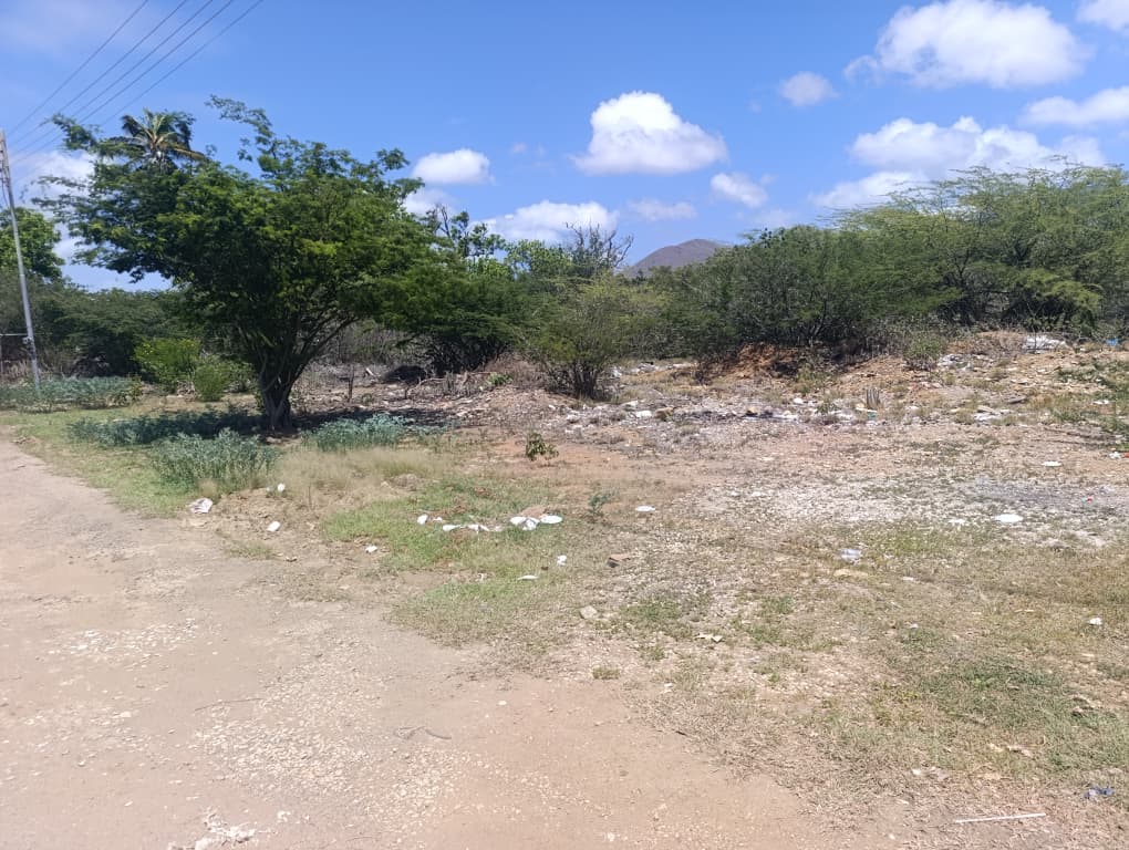 PARCELAS EN VENTA EN SAN ANTONIO