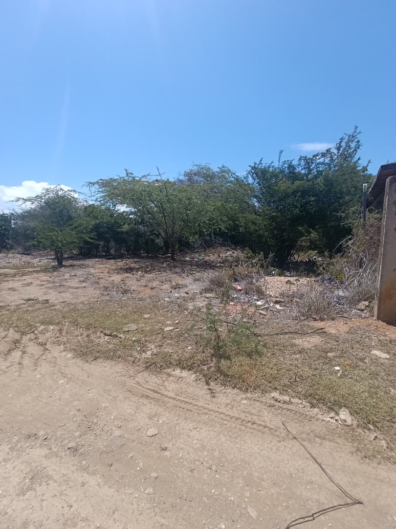PARCELAS EN VENTA EN SAN ANTONIO